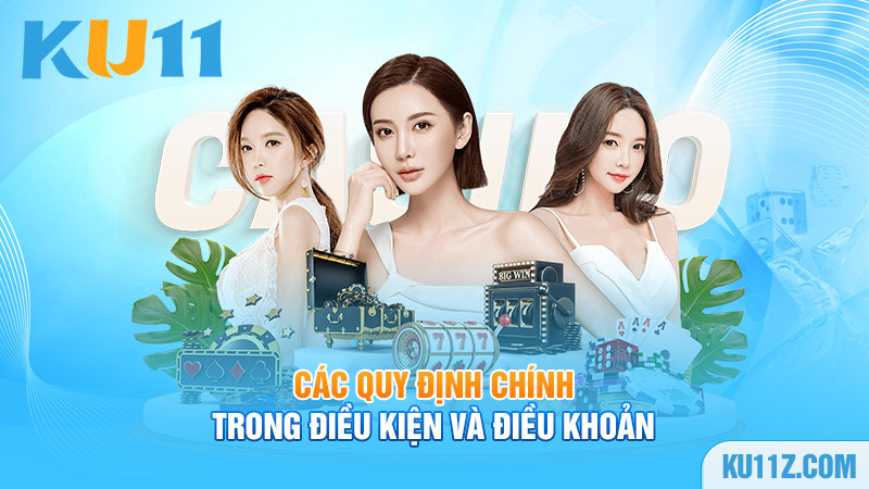 Các quy định chính trong điều kiện và điều khoản